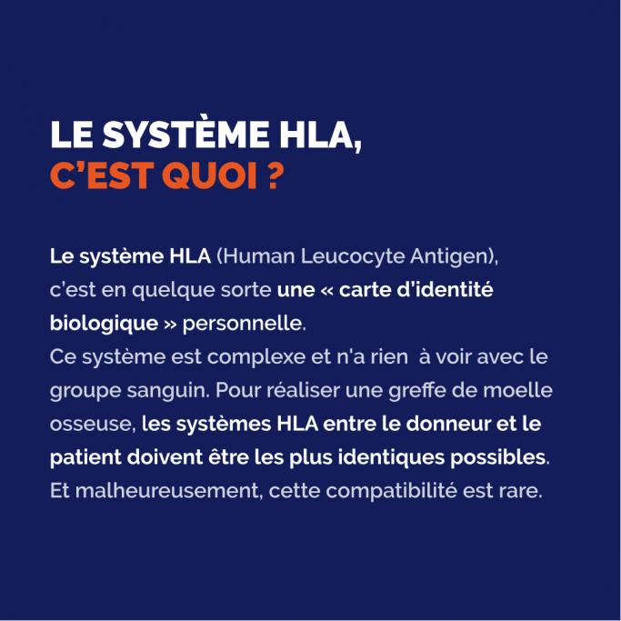 Affiche bleu foncé expliquant ce qu’est le système HLA. Autrement dit, le système HLA (Human Leucocyte Antigen), est en quelque sorte une « carte d’identité biologique » personnelle. Ce système est complexe et n’a rien à voir avec le groupe sanguin. Pour réaliser une greffe de moelle osseuse, les systèmes HLA entre le donneur et le patient doivent être les plus identiques possibles. Et malheureusement, cette compatibilité est rare.